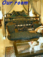 Shahpura House